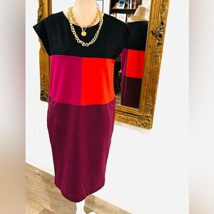 Narciso Rodriquez By Design Nation Color Block Dress Quiet Luxury Sz small